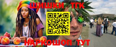 индика Тула