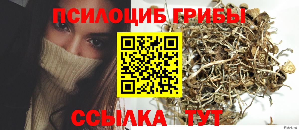 Псилоцибиновые грибы Magic Shrooms Богданович