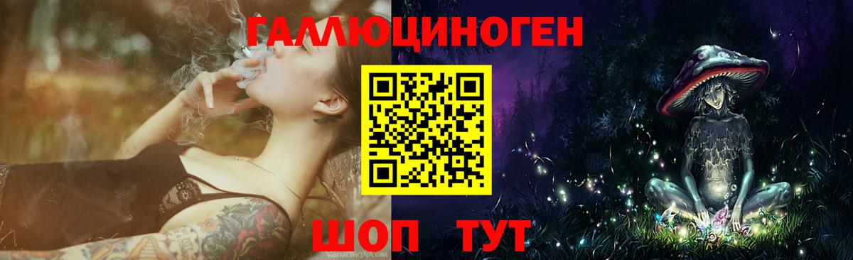 Богданович  Галлюциногенные грибы Magic Shrooms  купить наркотики сайты  Вход с VPN 